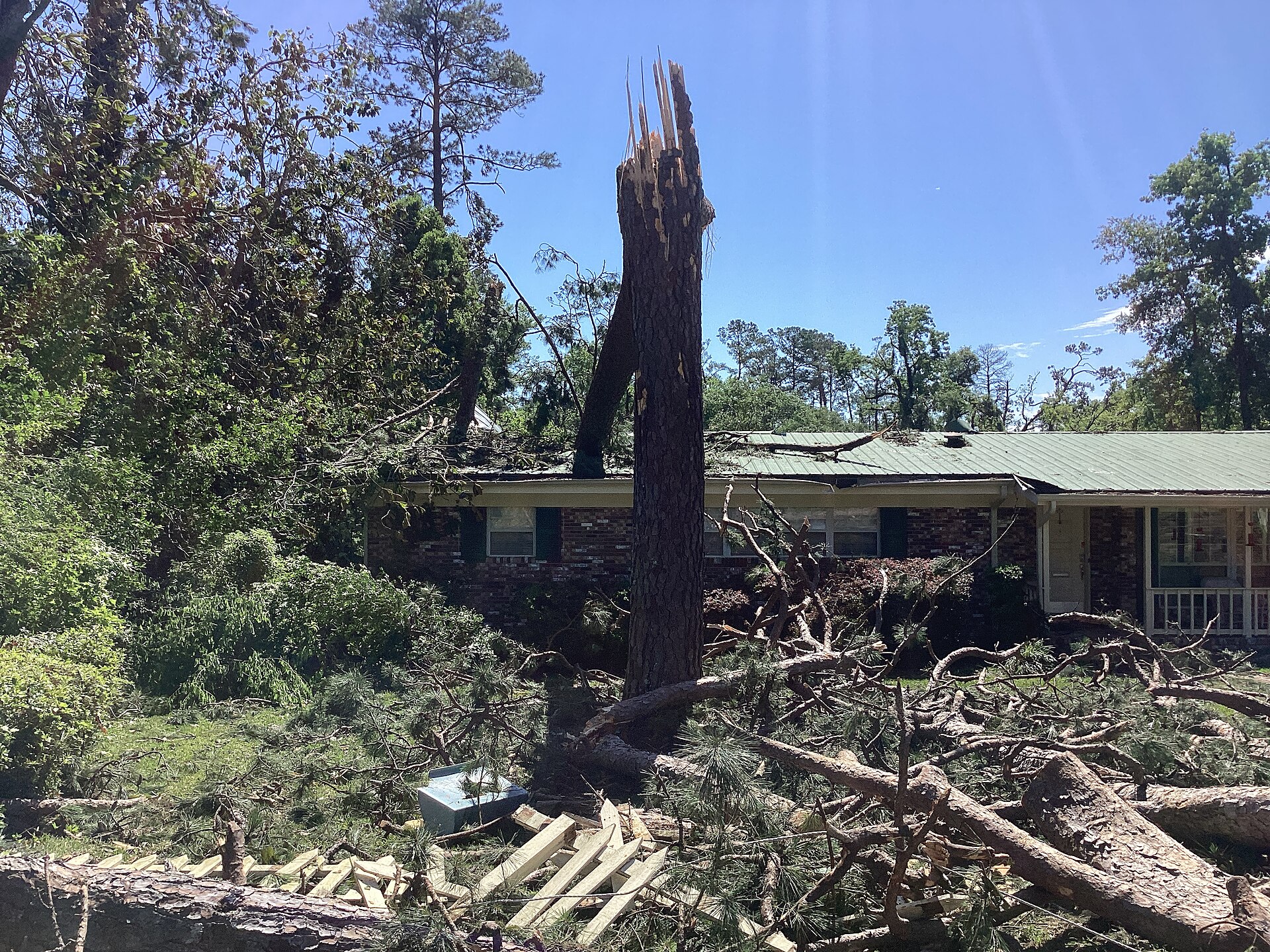 Snapped pine tree and fallen trees in front of a brick home in Tallahassee, Florida after tornado damage in May 2024