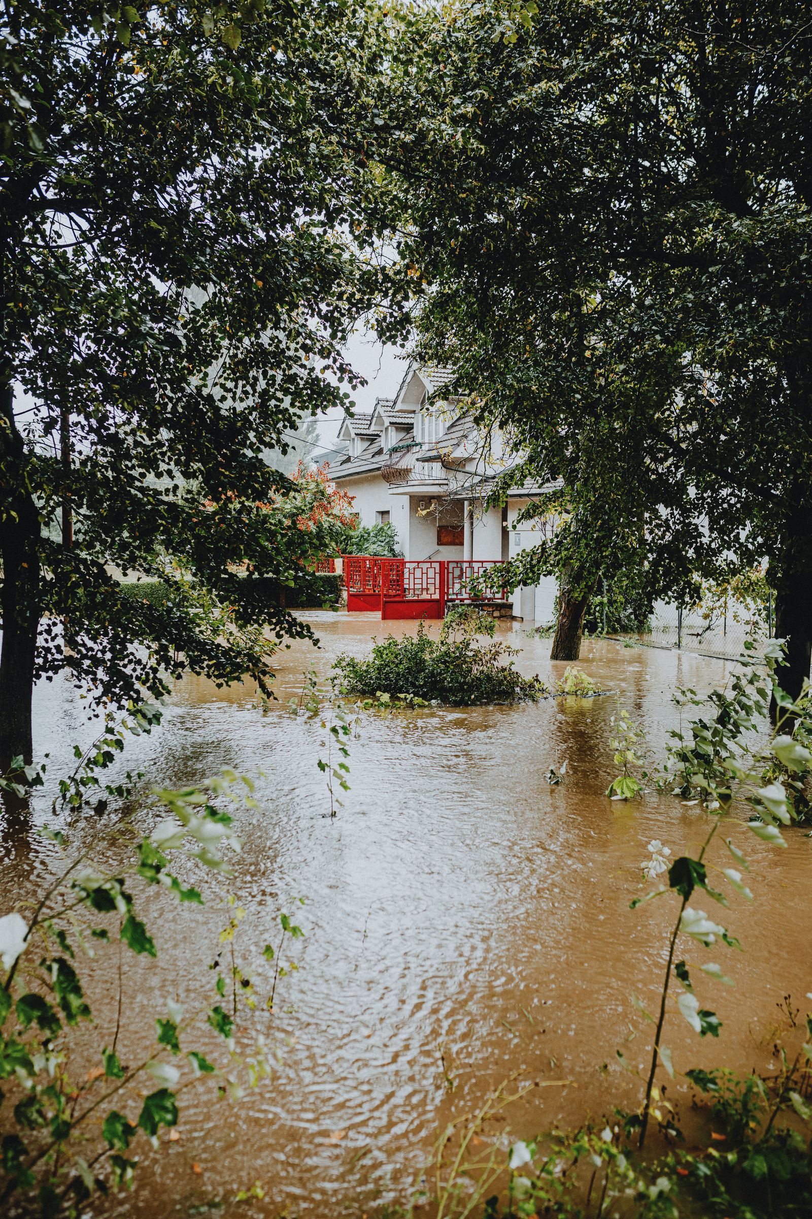 Flooded suburban street with water damage around homes and trees